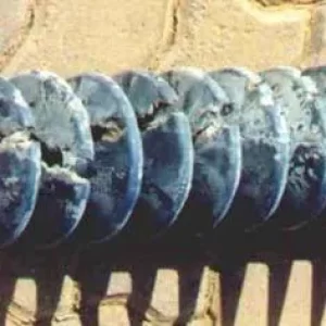 Eroded-un-coated-Comosite-Insulator