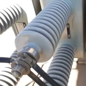 Freshly-Coated-insulator-with-CharCoat-IC